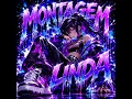 Montagem Neon Protocol