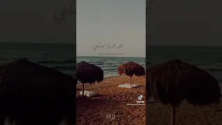 انا اللي حياتي عاندتني انغام حالات واتس اب 