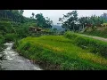 Download Lagu Saling percaya - Tetty Kadi