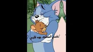 اغنيه انت جاي منين ياعم 