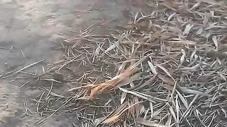 tough target part 1