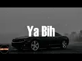Yo Gotti - Ya Bih (Lyrics)