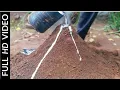 Download Lagu Casting a Giant Ant-House 👌 | Amazing video | with relaxing nature