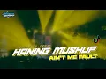 Download Lagu DJ PARGOY JEDAG JEDUG HANING V2 X AINT ME F4ULT 2022 (Bongobarbar Remix)