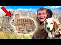 Trapping Wild Rabbits to Train My Rabbit Dog
