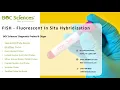 FISH - Fluorescent In Situ Hybridization