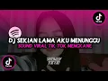 Download Lagu Dj Sekian Lama Aku Menunggu - Dj Menunggu Viral TikTok Mengkane🎧