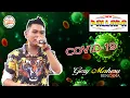 Download Lagu Bencana CORONA Gery Mahesa New Pallapa (Apakah ini akibat kesombongan manusia?)