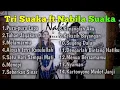 Download Lagu TRI SUAKA feat NABILA SUAKA tanpa iklan full album 2020 bikin baper