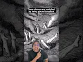 Download Lagu What happens when you commit SIMONY? #shorts