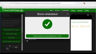 Override Class Declarations by Styling ID Attributes - freeCodeCamp HTML5 and CSS lesson