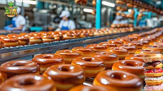 Inside The Doughnuts Factory Doughnuts Factory Process 