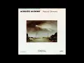 Acoustic Alchemy - Natural Elements
