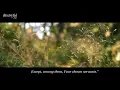 Download Lagu Tilawat.  NEW   beautiful Quran recitation   heart soothing voice