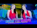 Download Lagu CANTIKNYA TIARA AMORA NYANYIAN RINDU  D'GAZZ MUSIC  KEDUNGMULYO TINAPAN TODANAN 2025 NUGROHO AUDIO