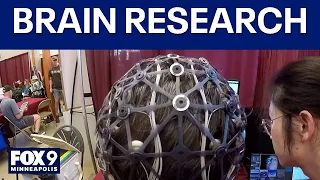 MN State Fair brain research Play Tetris for a good cause