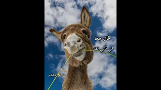 قال جحا في ذات نهار مافيا الفضائين بدون موسيقى فين الدعم 