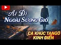 Lagu Ai Đi Ngoài Sương Gió | Bài Tango Tê Tái Lòng Người | Love Song Music Box