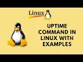 Uptime command in Linux with Examples - How to Check Uptime in Linux Command Line