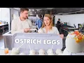 Download Pro Chef Learns How to Cook Ostrich Eggs | Bon Appétit mp4 3gp mp3 videos - waplic