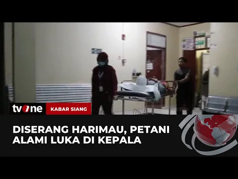 Konflik Harimau dan Manusia di Taman Nasional di Bandar Lampung, 2 Petani Tewas