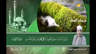 سورة الكهف للشيخ محمود الخشت الجزء السادس عشر 