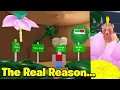 Why Onett Doesn t Release Bee Gear Anymore The Real Reason Bee Swarm Simulator