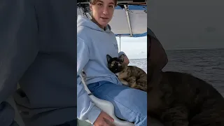 TRAITOR ABOARD #sailing  #travel  #sailinglife  #catshorts