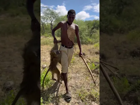 Hadzabe catches baboon