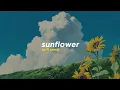 Download Lagu Rex Orange County - Sunflower (Alphasvara Lo-Fi Remix)