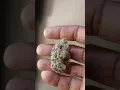 Candyland Cannabis strain review