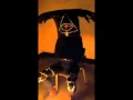 Download Lagu Shitcluster - Meat Thief