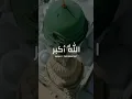 Download Lagu Beautiful Takbeer, Tahleel, Tahmeed - Dhul Hijjah