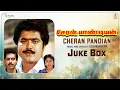 Lagu Cheran Pandian Audio Songs Jukebox | Vijayakumar, Sarathkumar, Sreeja | Soundaryan | Old Tamil Movie