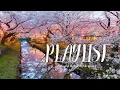 Download Lagu ᴘʟᴀʏʟɪꜱᴛ | 🌸따뜻한 봄날 어울리는 감성 팝송 플리🎶 잔잔한 어쿠스틱 \u0026 로맨틱 팝 l Soft \u0026 Romantic Pop for Work(중간광고없음, 2시간 연속재생)