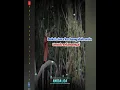 Download Lagu ANGGA LIDA - Setia Selamanya