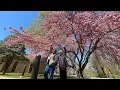Spring Northern Virginia Community College Indonesian Students
