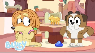 Histórias 🐴📚 | 30 minutos de diversão! 💙 | Bluey Português Brasil Canal Oficial