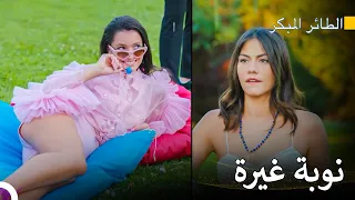 جلسة تصوير مثيرة مسلسل الطائر المبكر 