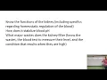 Urinary System Overview Study Session