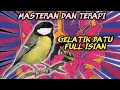 Download Lagu Masteran Dan Terapi Gelatik Batu Gacor Full Isian
