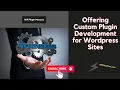 Offering Custom Plugin Development for Wordpress Sites - How to Earn Extra with Side Jobs 2024