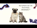 WCC Library Databases