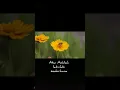 Download Lagu puisi untuk istri tercinta