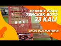 Download Lagu Masteran Burung Cendet Isian Tengkek Buto 23 Kali Sambung Kuntilanak Suara Jernih Durasi Panjang