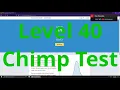 Human Benchmark Chimp Test Level 40