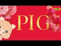 The Pig Boar Born in 1983
