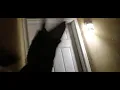 The Fernwood motel in Neptune NJ where anyone can come into your room and steal whatever they want