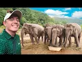 Download Lagu I Tried Thailand’s ‘Most Ethical’ Elephant Sanctuary 🇹🇭 Honest Review