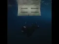 WILDFLOWER by Billie Eilish but the instrumental is delayed